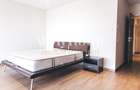 Apartament Spectaculos cu 4 camere, mobilat, finisaje premium, terasa, 2 parcari - 15