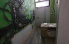 SPATIU COMERCIAL| 227 MP UTILI | ULTRACENTRAL| TERMEN LUNG| - 16