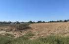 Teren intravilan - 4.000 mp, Loc. Roseti