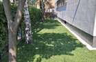 Inchiriere Apartament 4 Camere cu Gradina  Iancu Nicolae-British School