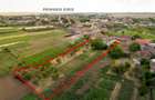 RECO Proprietate cu 2 case si teren mare in Girisu de Cris - 39