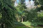 Vila teren 500 mp | Titeica – ideal sediu firma | langa Parcul Verdi - 12