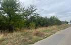 Teren 1000m Jilava  Str.Garii,Asfaltat ,Utilitati - 6