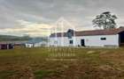 2 hale/depozite, 1850mp, deschidere 35m - Vestem