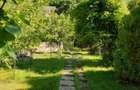 Snagov  Ultimul Refugiu la Lac: Proprietate Rara cu Priveliște de Poveste - 4
