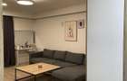 Apartament demisol Cornitoiu - 2
