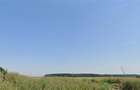 Teren de vanzare cu Puz aprobat - 210 000 mp - Mogosoaia - 5