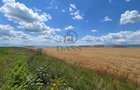 Teren intravilan 38.676 mp | 10 parcele | Zona de Vest - 3