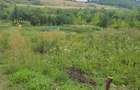 Vand teren intravilan,strada Budiului, 2 parcele,   total 5000 mp,neconstruibil. - 2