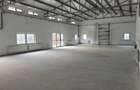 Spatiu comercial P+E in Catamarasti Deal - 2