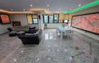 Timpuri Noi, 10 minute metrou, pe Cuza Voda, vila exclusivista P+1+M, lux, - 20