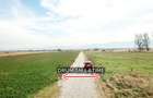 Parcele 1100 mp Pentru Microferme, Grădini Bio & Creșterea Animalelor - 5