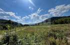 TEREN INTRAVILAN 2,26 HA | SUCEVITA | - 5