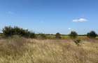 Teren intravilan 2.140 mp Otopeni – dezmembrat cadastral pentru 4 case - 4