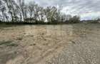 Teren intravilan | Rădăuți – Zona Tolocii | 2.000 mp | Parcelabil - 8