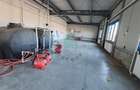 Hala Industriala, 5500 mp, Feldioara, Brasov - 15