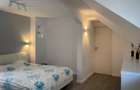 Vilă cu 3 apartamente independente si gradină mare în Cotroceni - 14