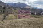 Teren intravilan de vanzare in Valea Doftanei - 3