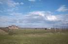 Vânzare 14.669 MP, Intravilan- Teren Fotbal, Cefa, Bihor. - 1