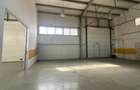 Hala moderna, 600 mp, showroom, depozit, birouri, 6m inaltime, Floresti - 9