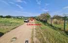 Teren intravilan in Campina, 7500mp--35e - 6