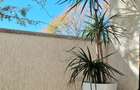 Apartament de inchiriat 2 camere | Crangasi | CENTRALA + PARCARE SUBTERNA - 19