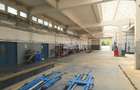 Hală industrială 1.168 mp | Adjud | Producție • Service • Logistică - 10