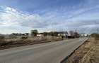 Teren IV 7.500 mp, toate utilitățile la front de 25 m, zona Ghercești - Aeroport - 4