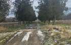 Exclusivitate,Agigea-Penny Market, teren 49284mp, intravilan, 124m desc.la DN 38 - 4