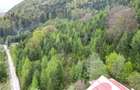 Teren 6500mp Dambu Morii - Bunloc, Brasov - 5