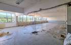Spatiu comercial 370 mp | Vasile Lucaciu Baia Mare | 3 €/mp - 3