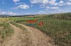 Teren intravilan construibil de 5.900 mp, zonă industrială, Șosea - 4