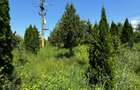 Teren intravilan de vanzare, 3000 mp, Izvoare, Bacau - 18