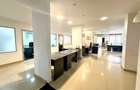 Business Hub Petre Ispirescu - 6 camere - 7