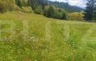 Teren intravilan, 7.362 mp, zona Vatra Dornei - 1