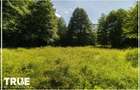 Teren intravilan 2.800 m² în Câmpu Cetății – liniște și natură - 6