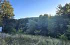 Teren intravilan de vanzare in padure Cisnadioara - 4