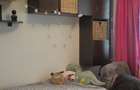 APARTAMENT 4 CAMERE SEMIDECOMANDAT CONFORT 0 ZONA TOMIS NORD CAMBRIDGE - 15