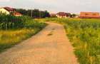 Teren intravilan de vanzare Ciofliceni | Ghermanesti | Snagov - 6