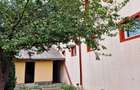 VIND VILA CU SPATIU INDUSTRIAL LOCUIT (pretabil la orice activitate) DASCALU IF - 3