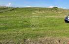 Teren 3300 mp-investitie, case de vacanta, agricultura-Valea Sigmirului - 2