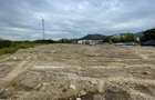 Teren intravilan, investie Hale Industriale, zona Est - 2