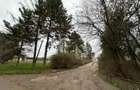 Teren intravilan Mogosesti | Giurgiu | 370.000mp | Adunatii Copaceni - 4