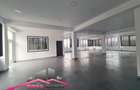 Spatiu birouri/depozitare/productie usoara - 217 mp, Tatarasi, Aurel Vlaicu - 4