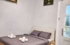 Apartament 1 Camera De Inchiriat | Ultracentral | Piata Unirii | UMF - 2