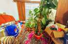 Apartament 4 camere | Decomandat | 93 mpu | zona Grădini Manastur - 6