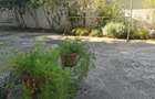 Apartament 4 dormitoare si 3 bai - Etaj 3- Elisabetin - 19