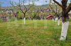 Cabana cu teren generos, 1824 mp, acces din 2 străzi – Livezeni - 6