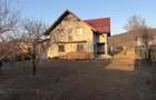 Vilă în Pătrăuți + 8400mp teren - 13