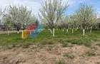 Casă individuală 260mp, teren 2.145 mp și livadă,  Zonă Kaufland, Turda - 10